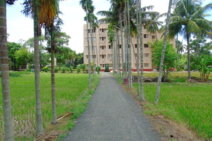 Farm attached to Narendrapur Campus