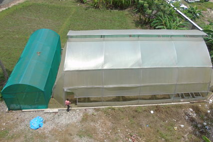 Poly-green house