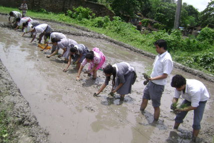 Field practical